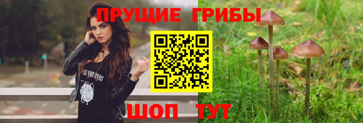 Псилоцибиновые грибы Magic Shrooms  Вход с VPN  Электросталь 